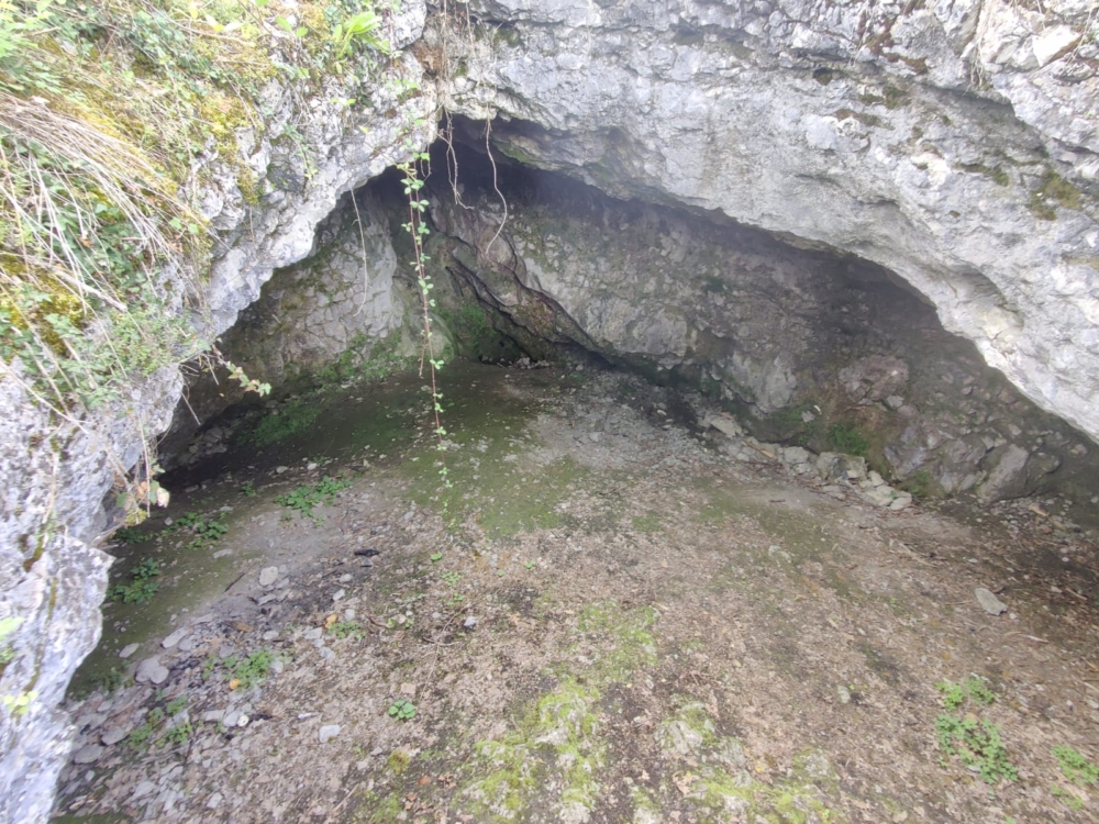 hohiere-approach-4