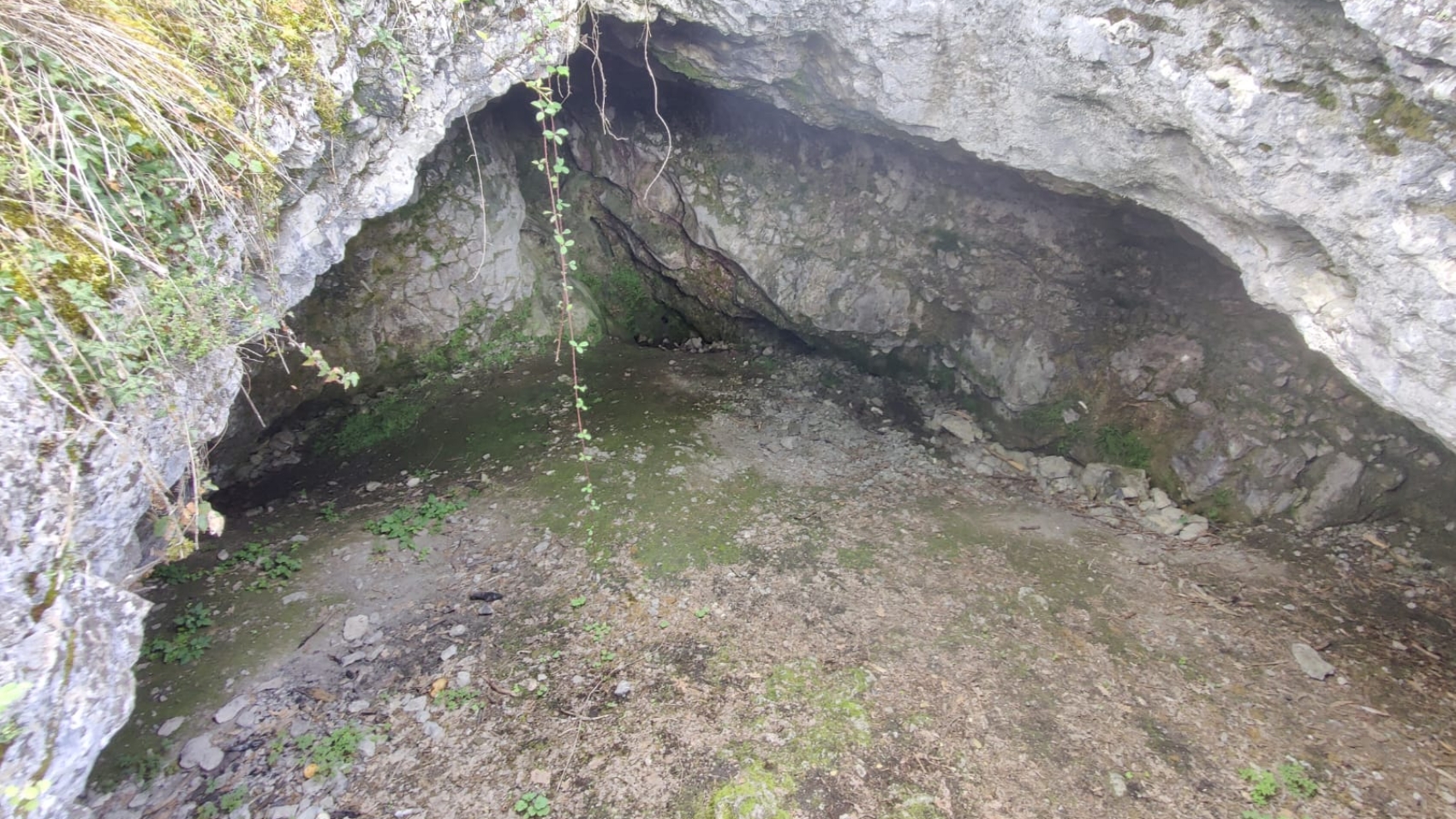 hohiere-approach-4